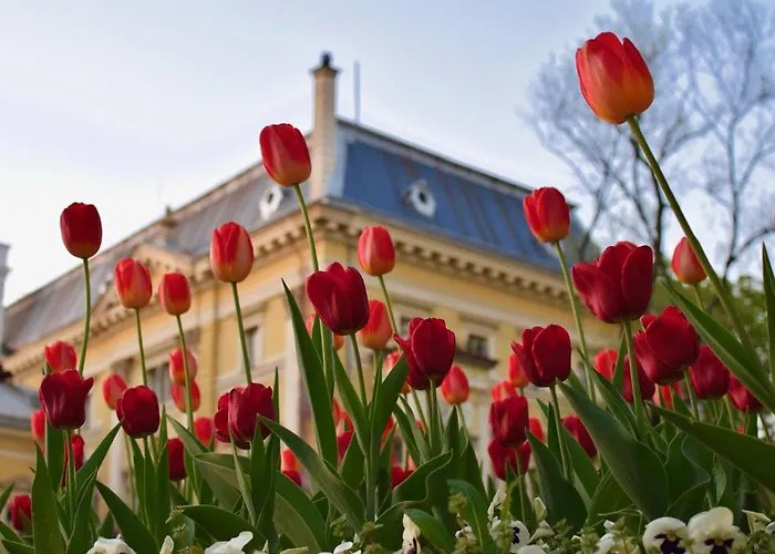 Free Parkingand Relax アパート *